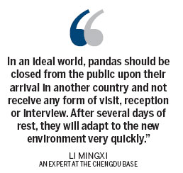 Pandas may find traveling hard to bear
