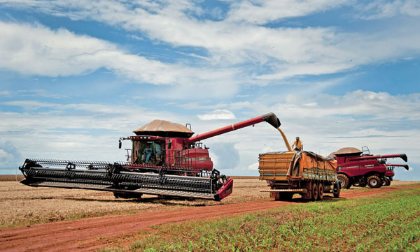 Soybean imports from US to decline this year