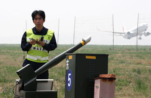Bird strikes increase at airport in Shanghai