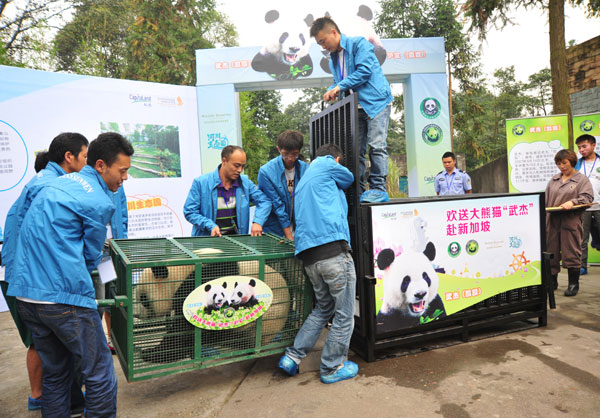 Singapore ready to greet panda pair