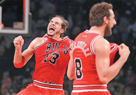 Gritty Bulls cut down the Nets in Game 7 decider