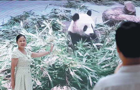 2 paws up for online panda cam