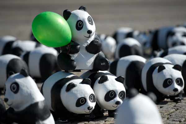 Pandas in eye of Belgian political storm