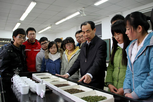Professor says the study of leaves is now just his cup of tea
