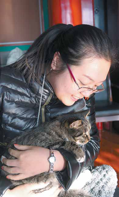 Stray cats patrol Forbidden City