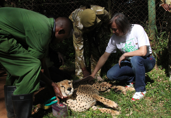 Li's visit inspires pioneer Chinese wildlife protector