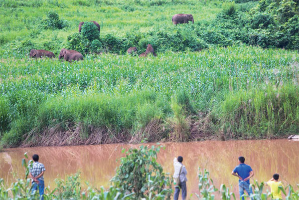 Endangered species threatens livelihoods