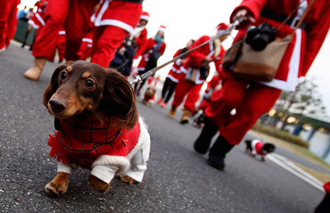 e to promote science, technology cooperation |