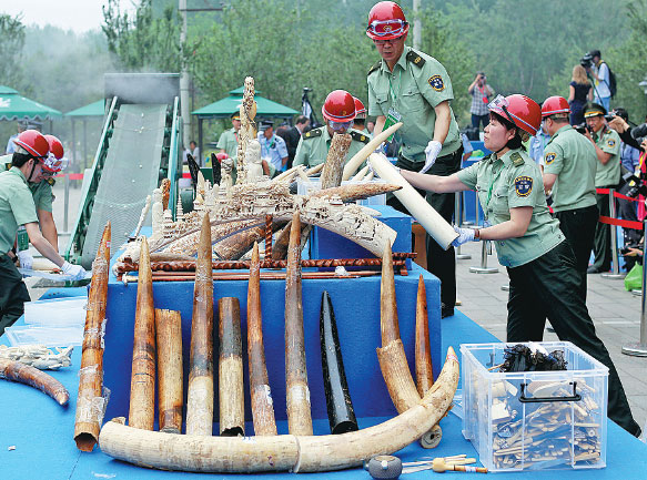 Crushing ivory signals action to protect wildlife