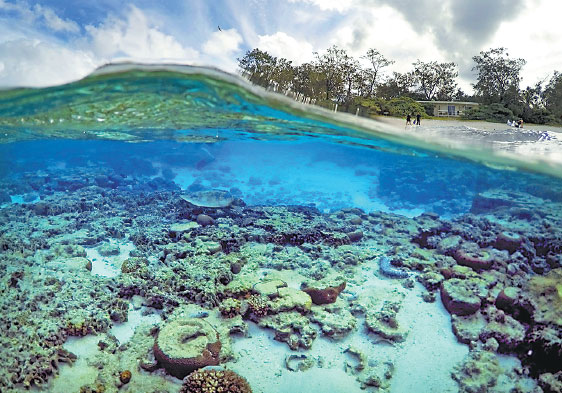 Great Barrier Reef to stay off UN's 'endangered