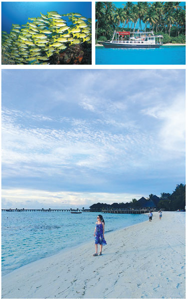 Maldives magic