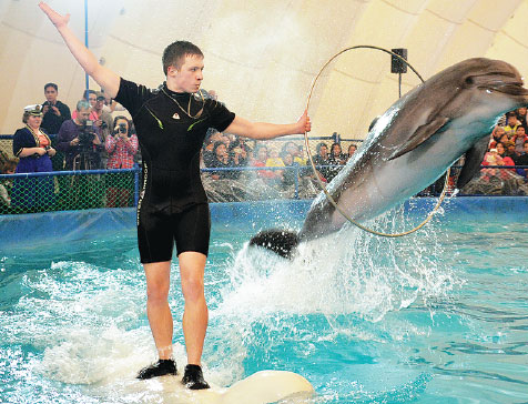 Dolphin circus sparks animal cruelty debate