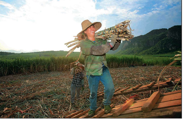 Coke expands sugar cane irrigation