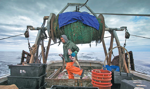 elijah voge meyers carries cod caught in the nets of a