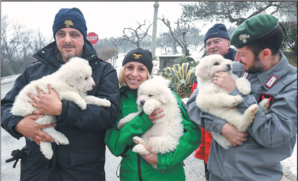 Rescuers Hold Three Puppies That Were Found Alive In The Rubble Of The Avalanche Hit Hotel