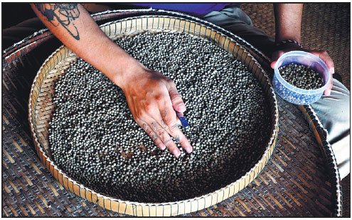 a worker sorts through kampot pepper in cambodia lauded by ...
