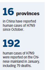 Bird flu vaccines set to undergo clinical trials