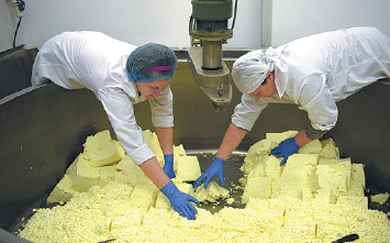 Brexit churns out unease for specialty cheese industry