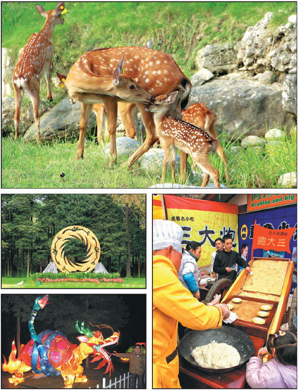 Treasures of Chengdu