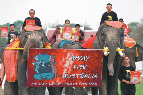 students and a troupe of ten elephants on monday in ayutthaya thailand