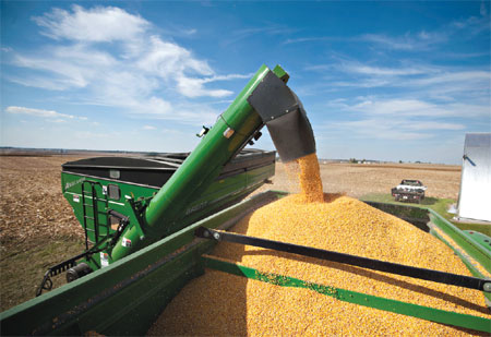 Corn rejections 'little cause for concern': analyst