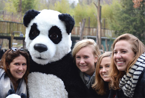 Panda cub Bei Bei warms to public