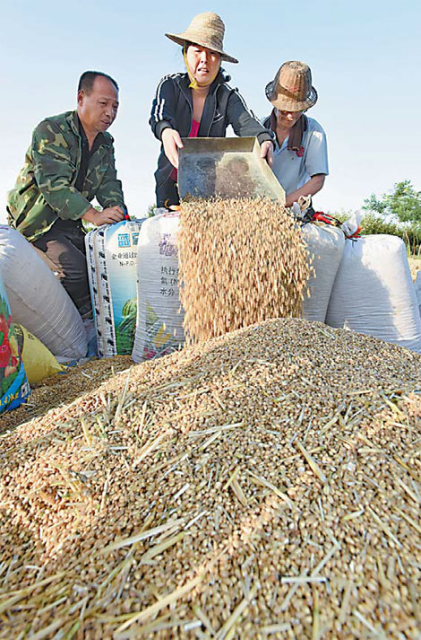 Food supplies 'secure' from El Nino impact