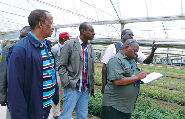 African visitors harvest ideas for agriculture