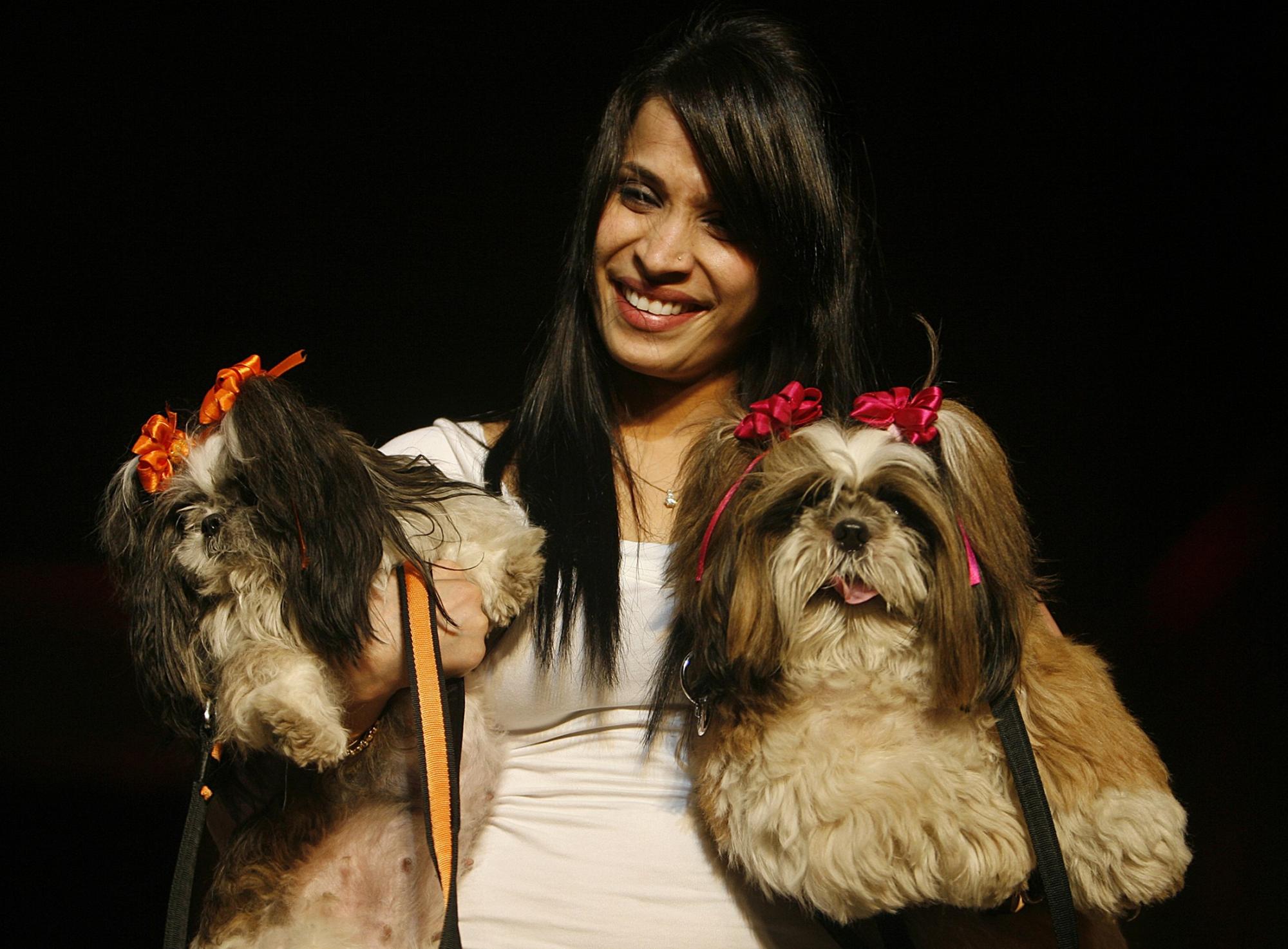 Pet fashion show in New Delhi-英语点津