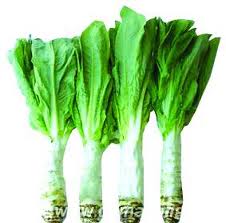 Add a little bitterness to your summer