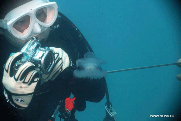 Fantastic undersea world in Indonesia