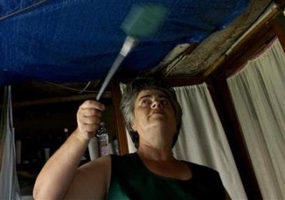 Why it's so hard to swat a fly