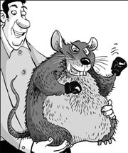 Cat and mouse game takes twist