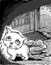 Cat spends two weeks outside wrong apartment