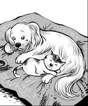 Dog starts lactating to nourish abandoned kitten