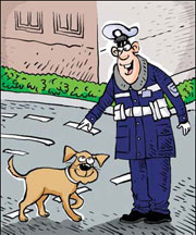 Stray dog finds gig as traffic police assistant