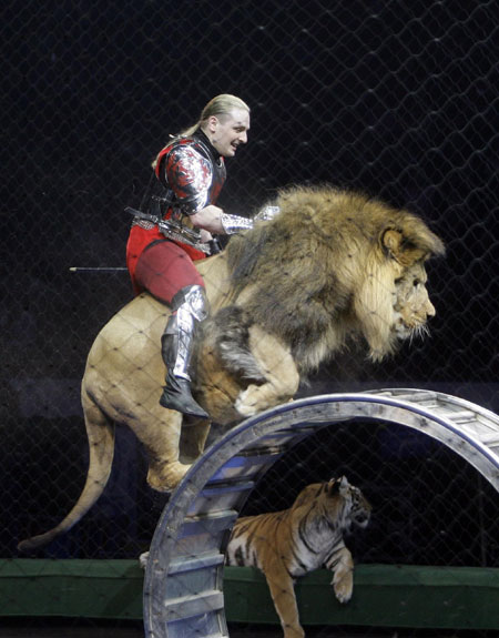 Circus' show 