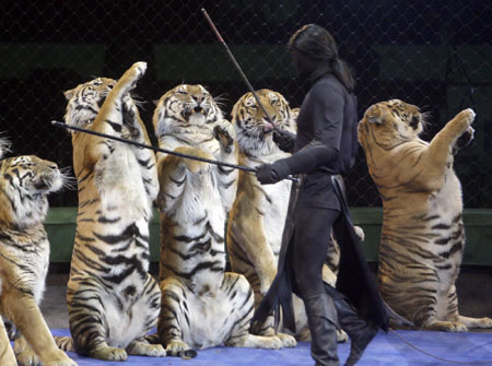 Circus' show 