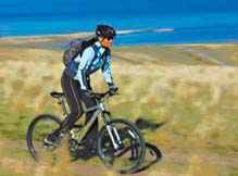 High-impact sports good for bones