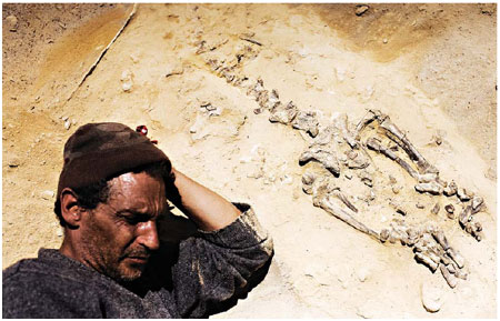 Smugglers plunder the fossils of Peru