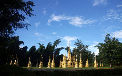 In search of spring at Xishuangbanna