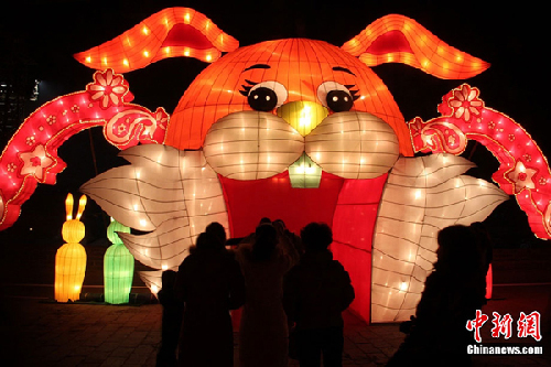 Lanterns illuminate Chinese Spring Festival