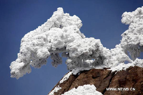 Yellow Mountain presents winter scenery