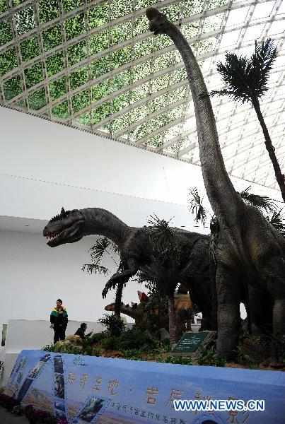 Fossil specimen exhibition held in Hangzhou
