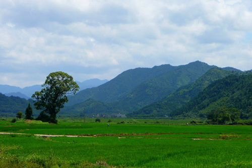 Visit Yao Li for An Idyllic Getaway