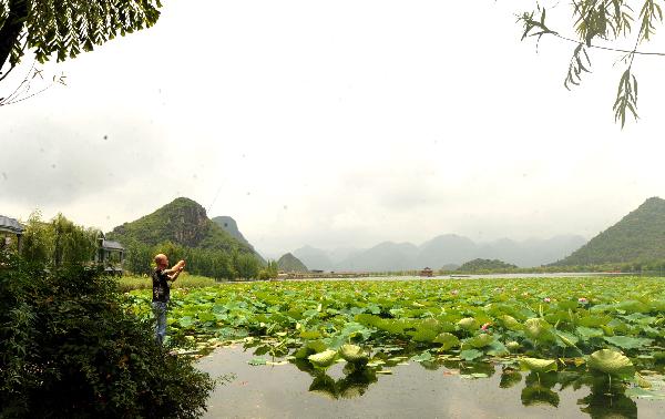 Vast expanse of lotus pond in Yunnan