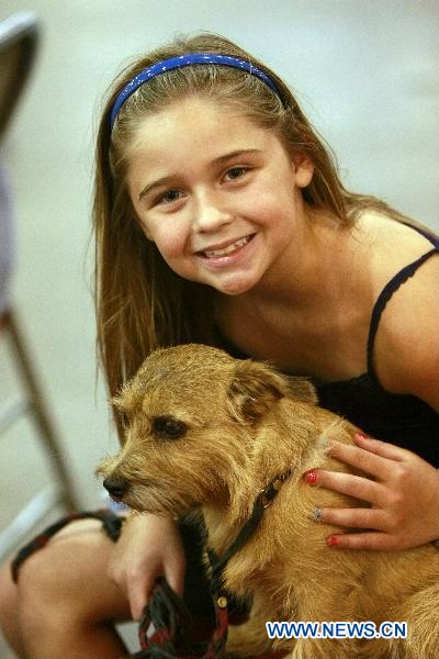 Pet dogs show in Houston