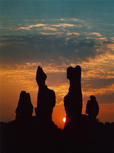 Stone Forest