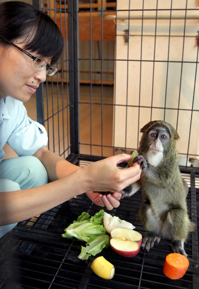 Give love to our furry friends
