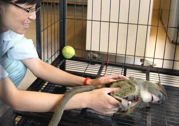 Give love to our furry friends